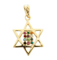 Gold Filled Twelve Tribes Star of David Pendant